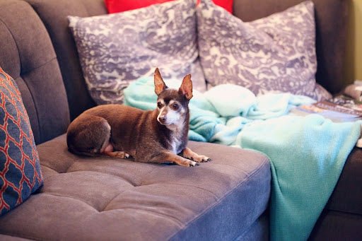 Can You Fit a King Mattress in Your RV? Layout Tips and Space-Saving Hacks